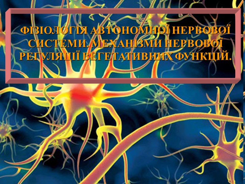 ФІЗІОЛОГІЯ АВТОНОМНОЇ НЕРВОВОЇ СИСТЕМИ. МЕХАНІЗМИ НЕРВОВОЇ РЕГУЛЯЦІЇ ВЕГЕТАТИВНИХ ФУНКЦІЙ.